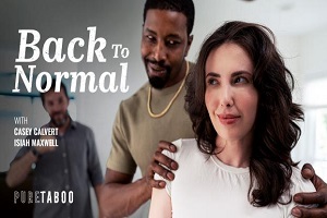 Casey Calvert – Back To Normal