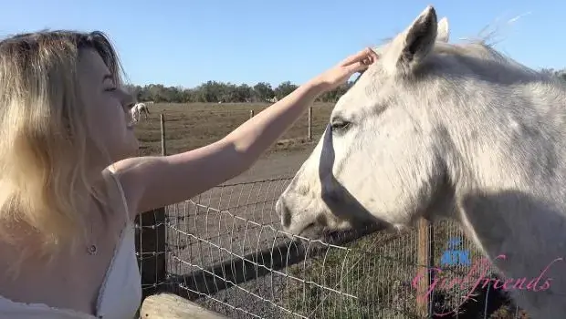 Dez Hansen – Florida # 4